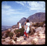 South Africa 1966 thumbnail